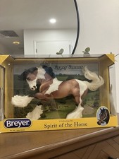 Cavalli Breyer - Gypsy Vanner