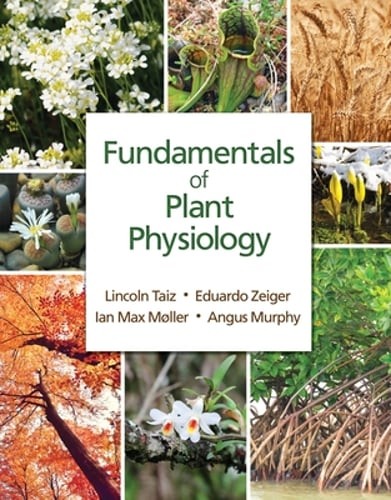 Fundamentals plant - of,