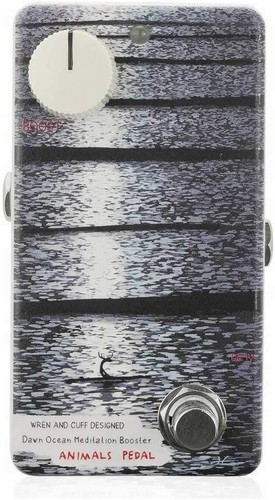 Animals pedal dawn ocean - pedal,