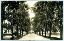 CORNELIANO D'ALBA (Cuneo) -