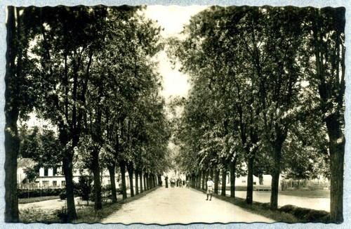 Corneliano alba - d'alba, (cuneo)