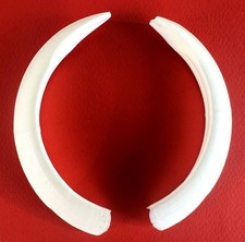 COPPIA DI ZANNE DI CINGHIALE