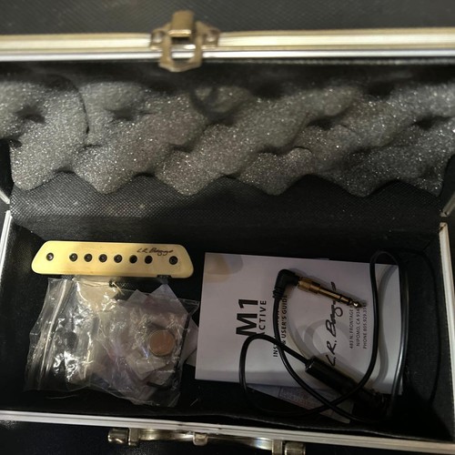 Baggs m1 active - baggs,