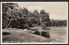 Sweden Postcard - Vid