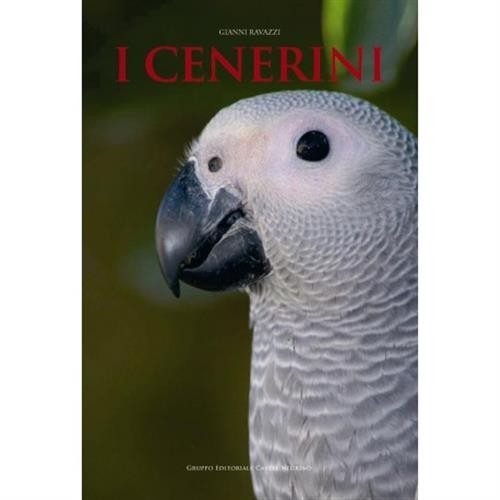Cenerini gianni ravazzi - cenerini,