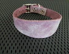 CUCCIOLO LEVRIERO/FRUSTA