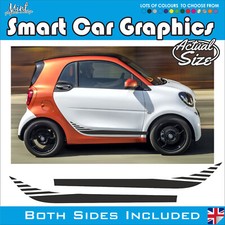 Smart Car PER DUE Strisce