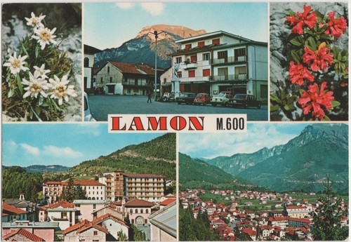 Lamon 600 vedutine - lamon,