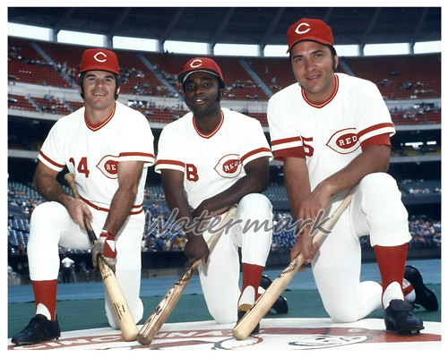 Mlb cincinnati reds big - cincinnati,