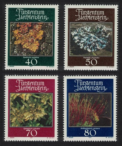 Liechtenstein muschi licheni - liechtenstein,