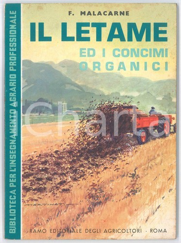 1968 francesco malacarne - 1968,