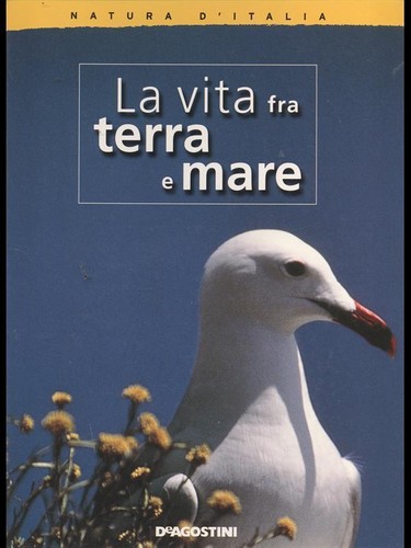 Vita fra terra - vita,