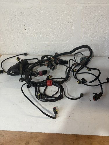 Telaio motore evinrude etec - motore,