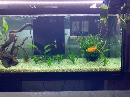 Mtb milo 100 acquario e - mtb,