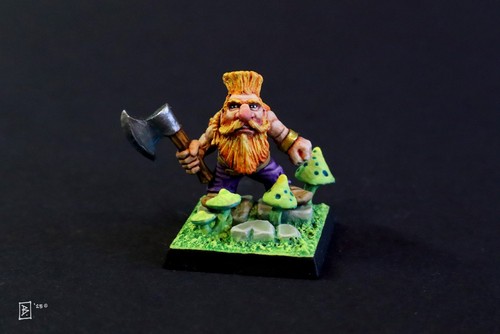 Warhammer dwarf troll slayer - dwarf,