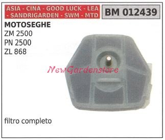 Filtro aria cina motore - aria,