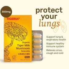 1X TIGERUS Latte di Tigre