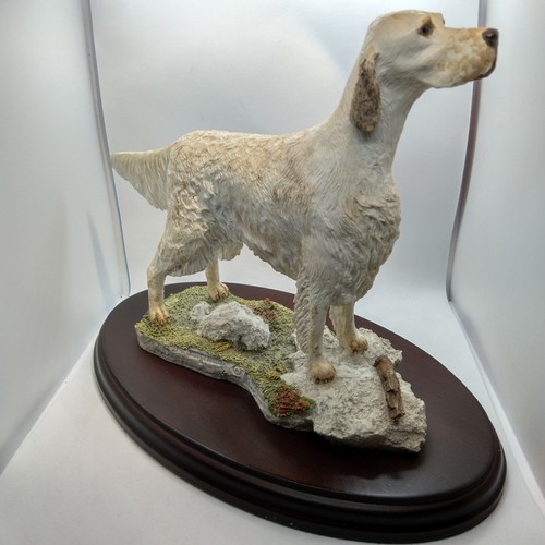 English setter best breed - english,