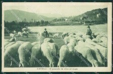 Varese ghirla gregge - ghirla, cartolina