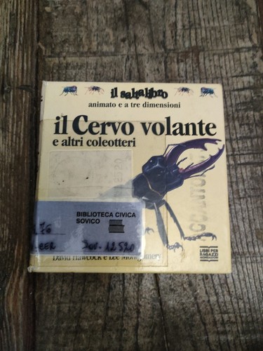 Saltalibro cervo volante - saltalibro,