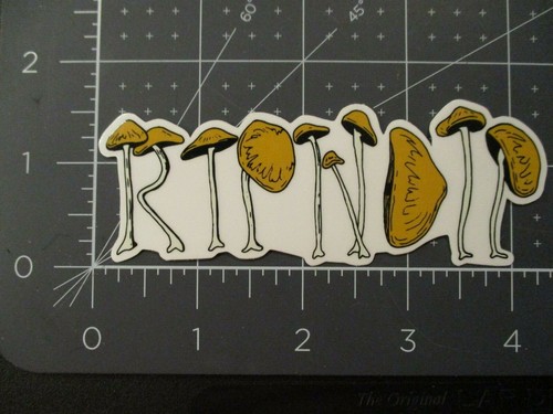 Ripndip skate adesivo - skate,