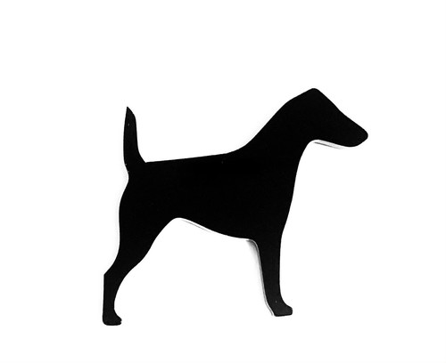 Smooth coat fox - smooth,