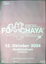 EBOW - 2024 - Live in Concert