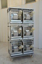 Gabbie per conigli in rack da 6 su ruote