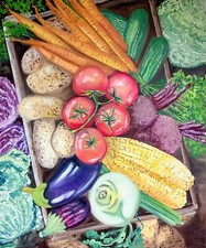 Verdure in scatola quadro olio