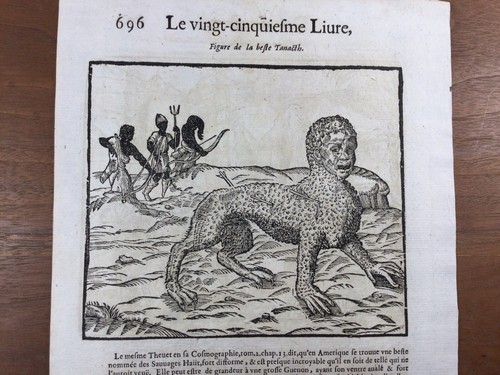 Caccia america 1614 arco - caccia,