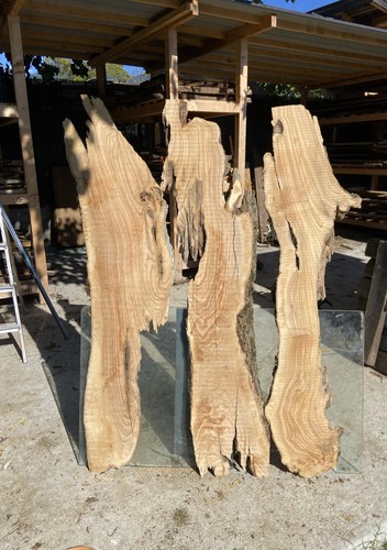 Tavole legno ulivo 3 - tavole,
