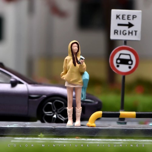 Painted figure model - 1:64,