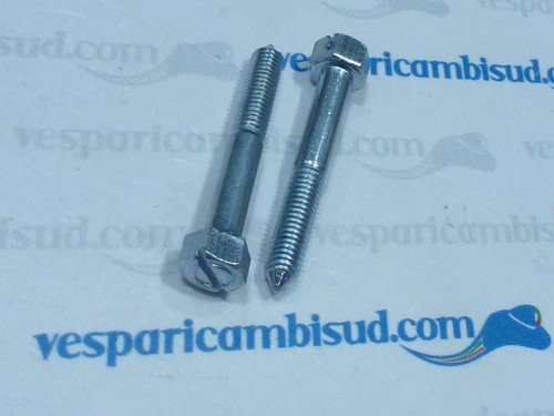 Coppia vite coperchio - coppia,