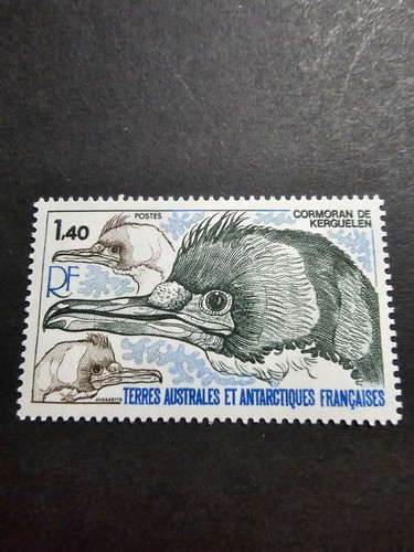 Timbri francia taaf fauna - timbri,
