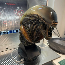 Statua Busto Alieno H24cm Kit