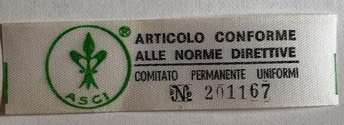 Scout asci distintivo - scout,