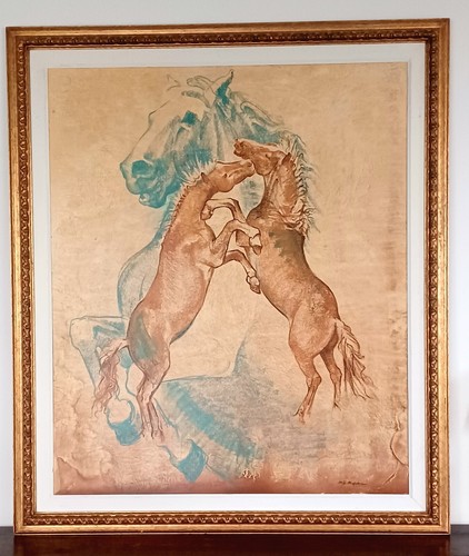 Cavalli marta mangiabene - marta,