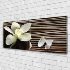 Print on Glass Wall art 125x50
