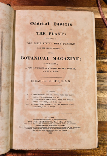 Curtis botanical magazine - botanical,