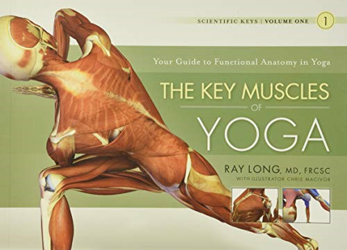 The key muscles yoga - of,