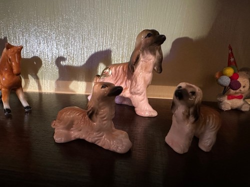 Porcellana famiglia levrieri - porcellana,
