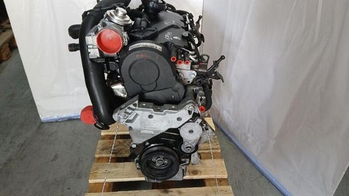 Bkc motore volkswagen golf - bkc,