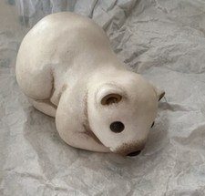 Thun Orso Polare