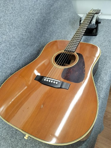 Chitarra acustica morris - chitarra,