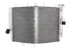 Radiatore acqua per Kawasaki