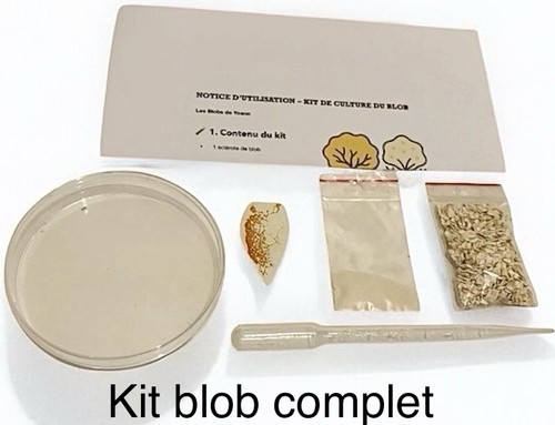 Kit culture blob - de,