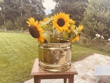Affascinante vaso da fiori in