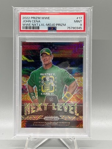 Prizm wwe 2022 - prizm,