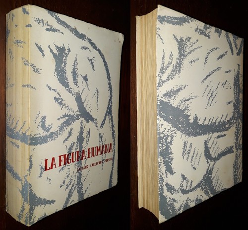 Figura humana gaetano - la,
