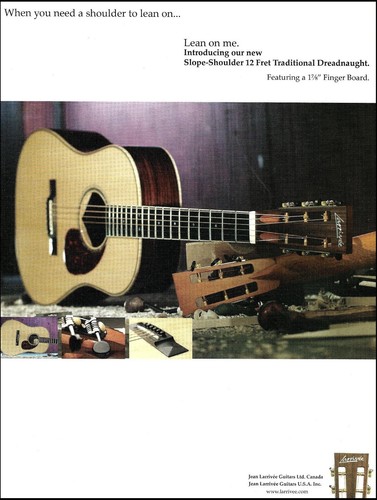 Chitarra acustica larrivee - chitarra,